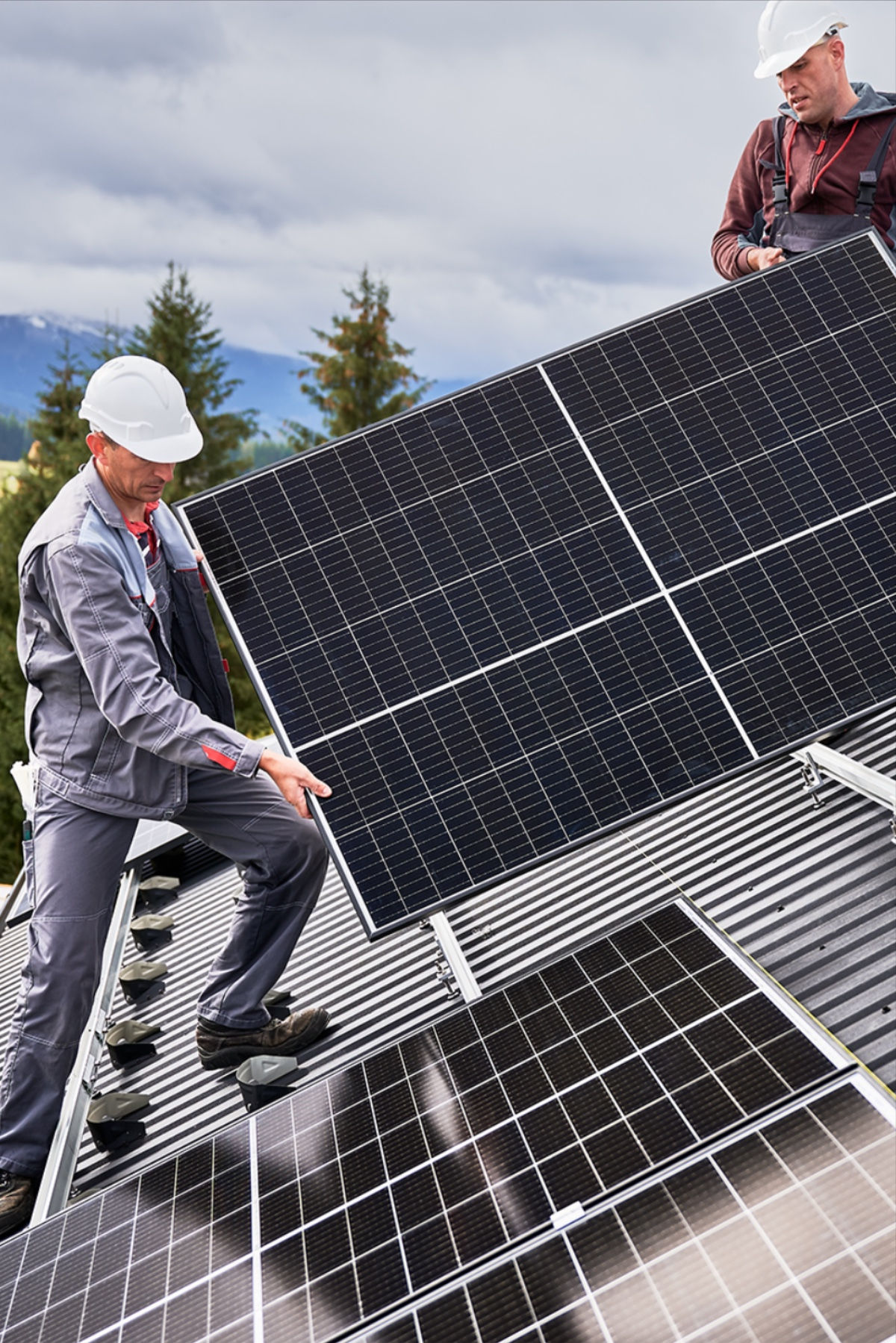 Renewable Energy Investment